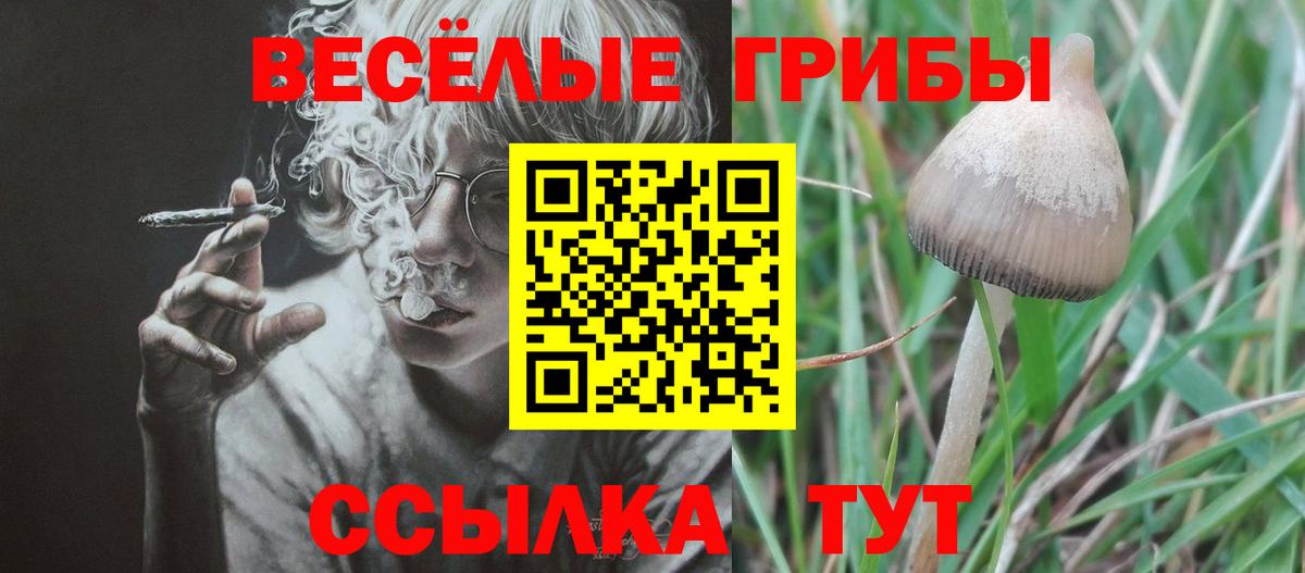 Псилоцибиновые грибы Magic Shrooms  Галлюциногенные грибы Magic Shrooms  Вход с VPN  где купить   Острогожск 