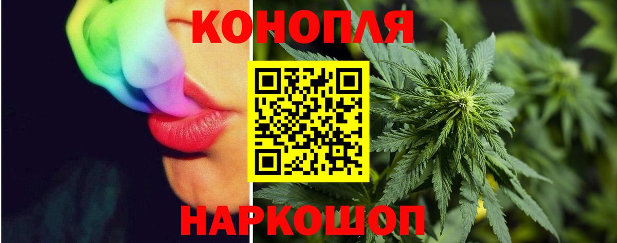 Бошки Шишки тримм Острогожск